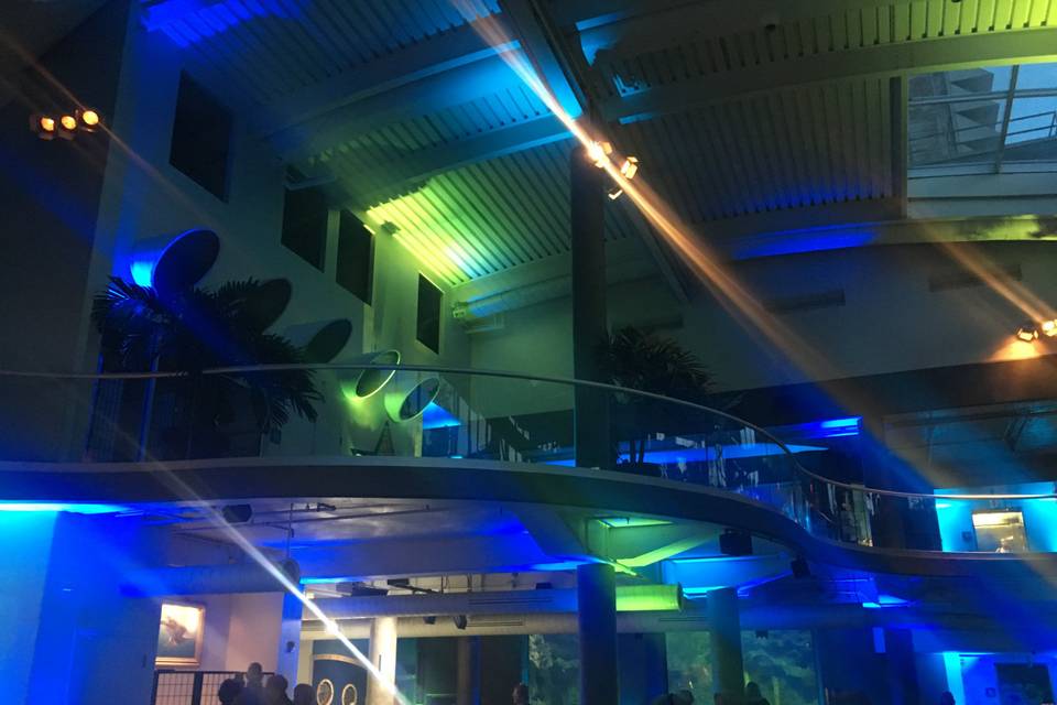 Pgh. Aquarium--Uplighting