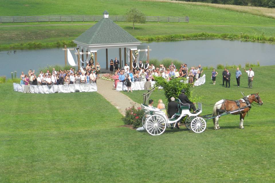 Brian & Carrie, Lingrow Farm