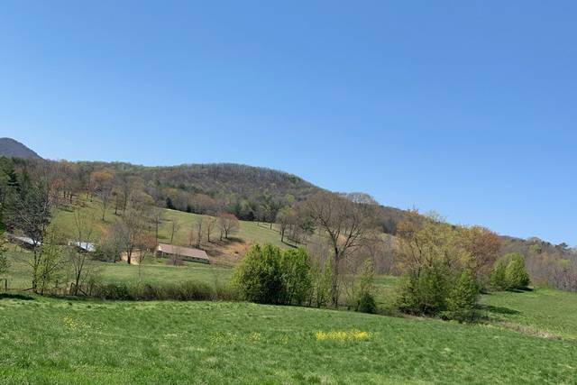 View in spring