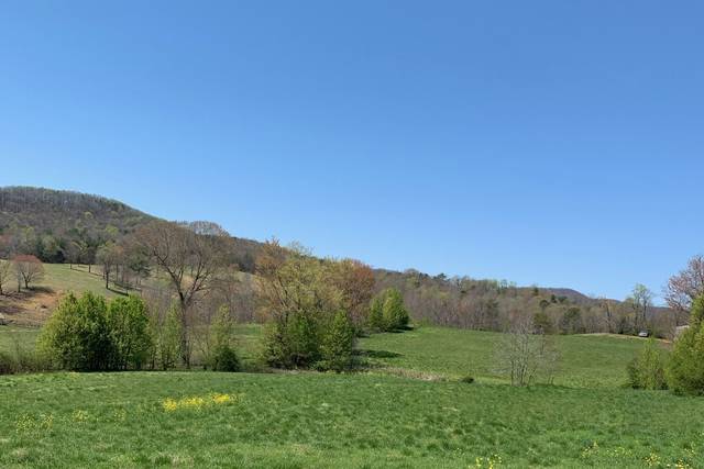 View in spring