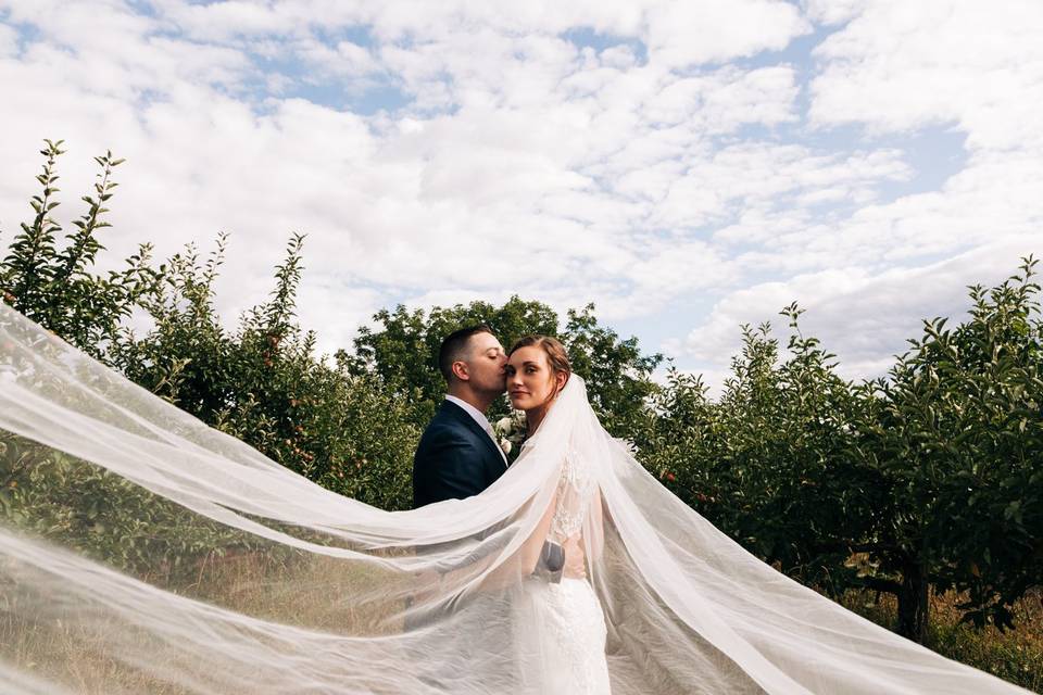 Quonquont farm wedding