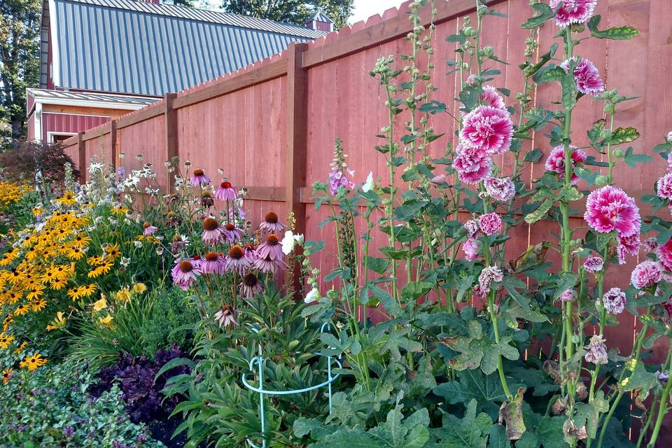 English Gardens in bloom