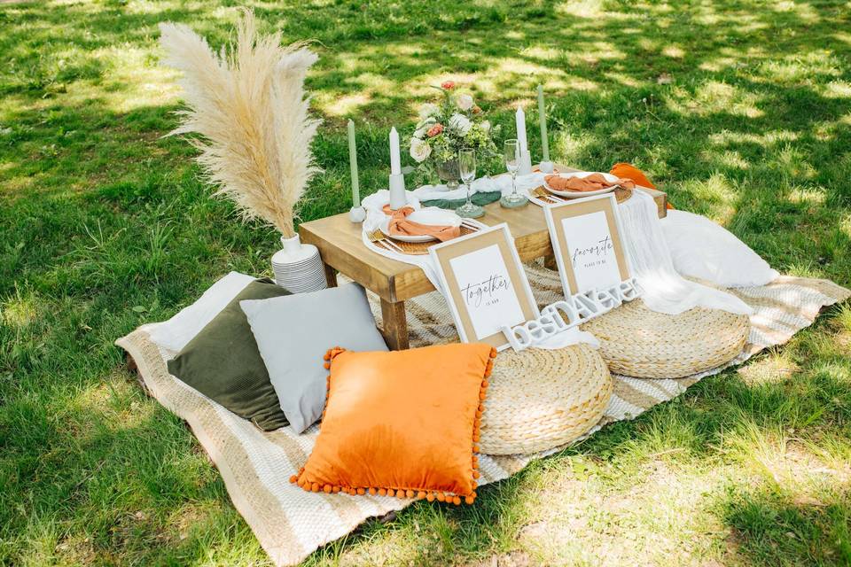 Wedding picnic