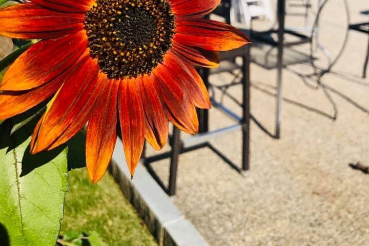 Regatta Banquet & Conference Center