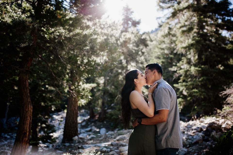 Engagement session