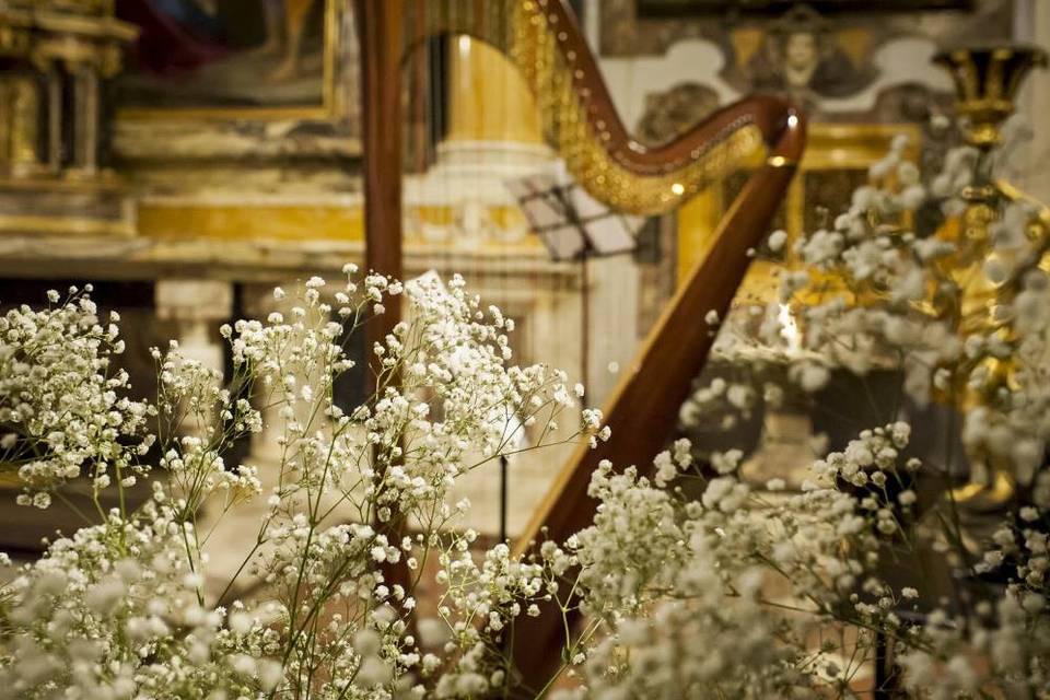 Flowers by the harp