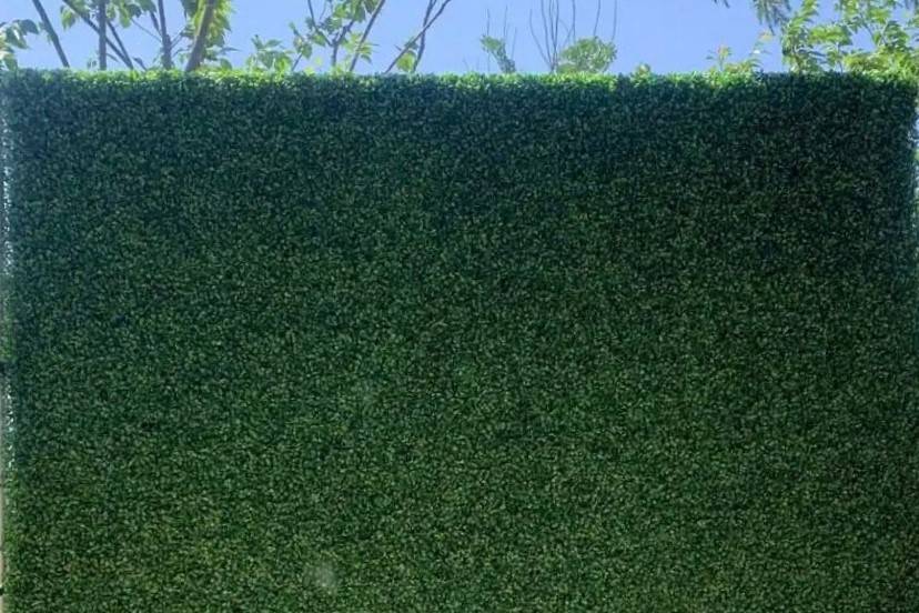 Green Grass wall