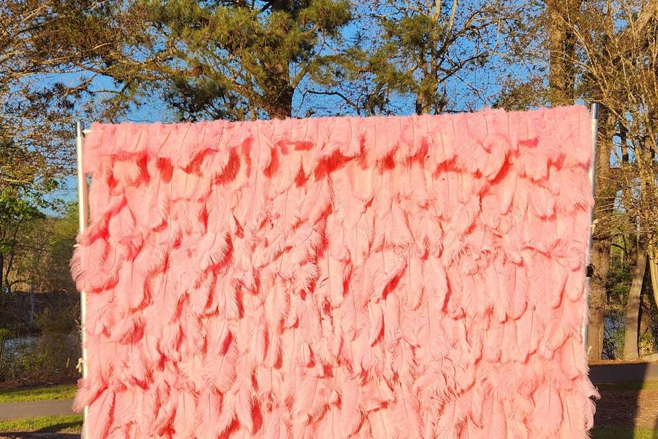 3D Pink Feather Wall