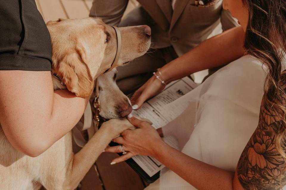 Signing the marriage license