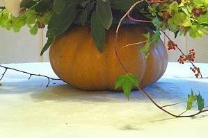 Pumpkin  # 1 ( grown in Lovestruck's garden )
Setting up for a Thanksgiving Event