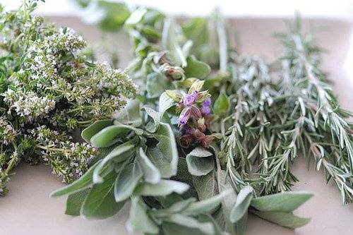 we grow all of our herbs in our garden
