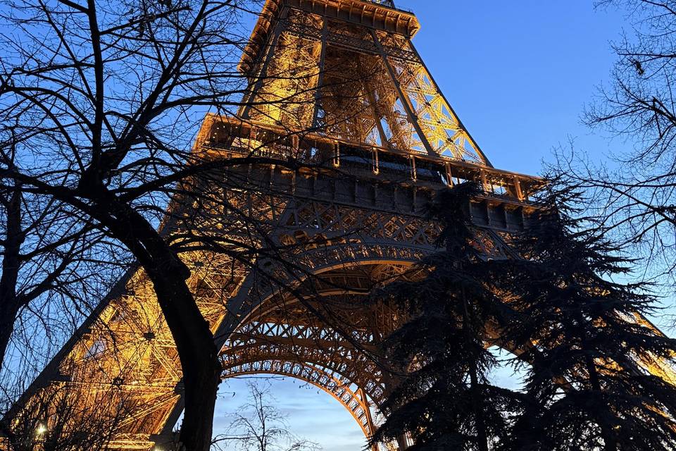 Paris in the Springtime