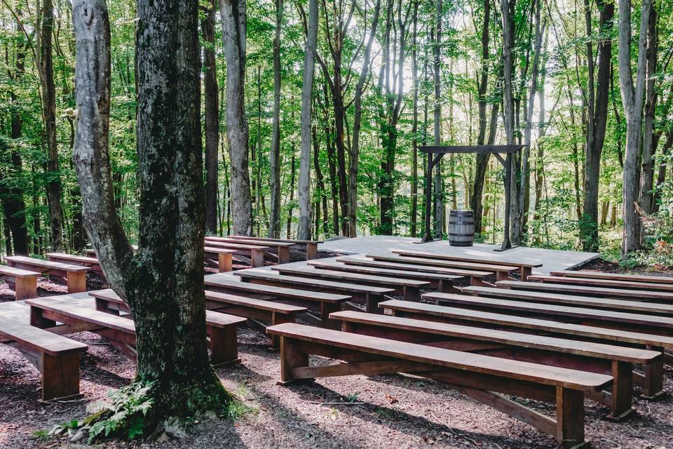 Picturesque Woodland Ceremony