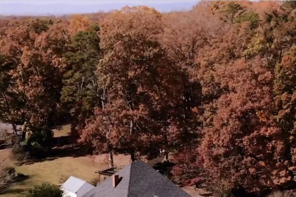 Late Fall