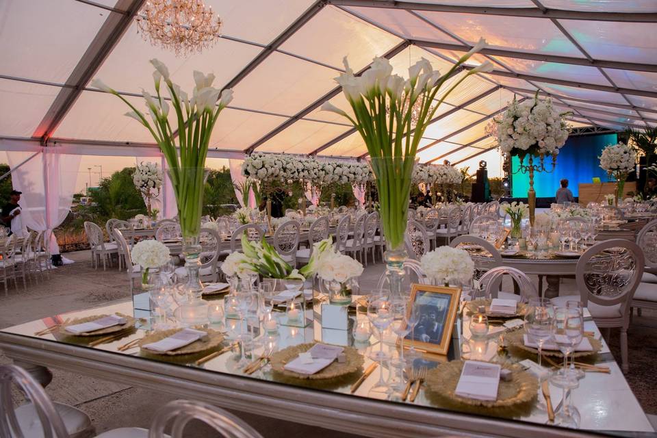 Lotus Events by Silvia