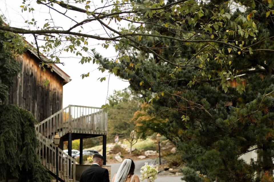 Main Barn Path