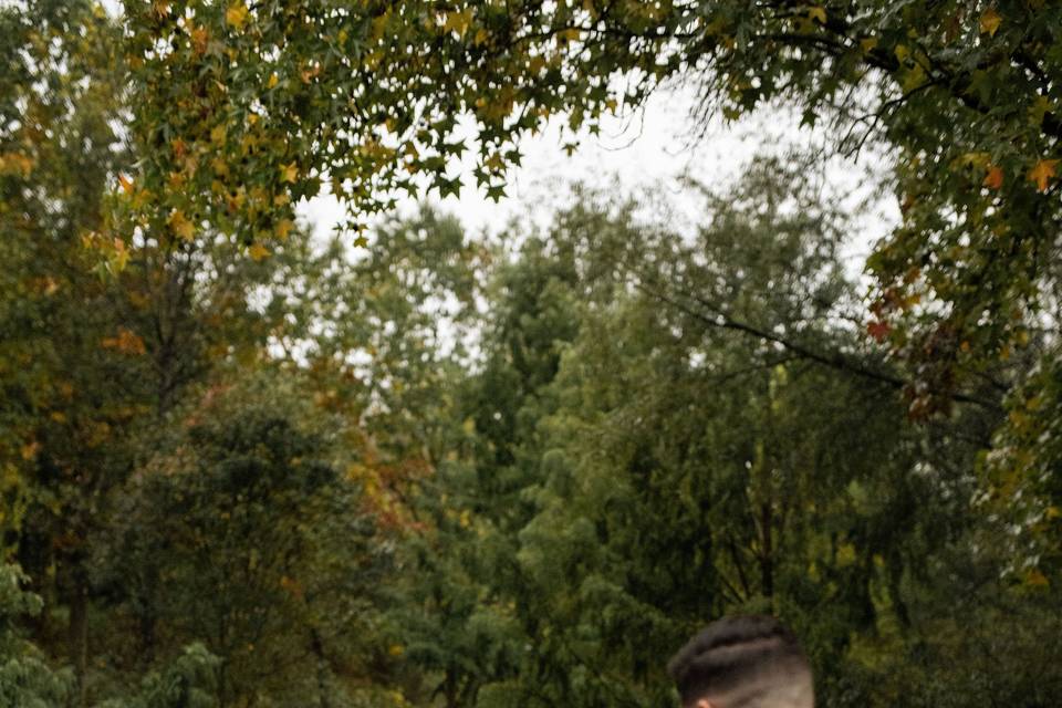 Fence