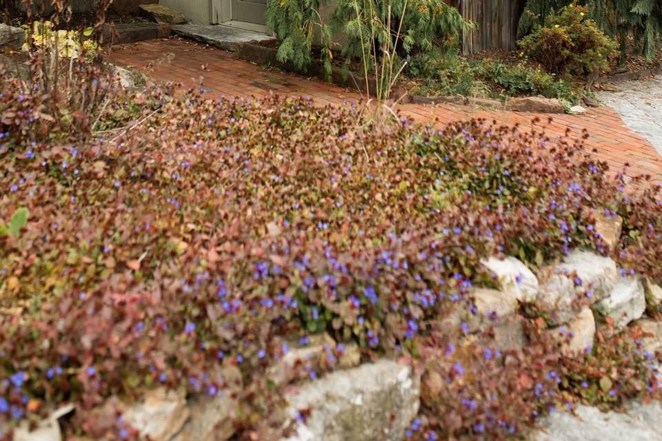 Garden Cottage