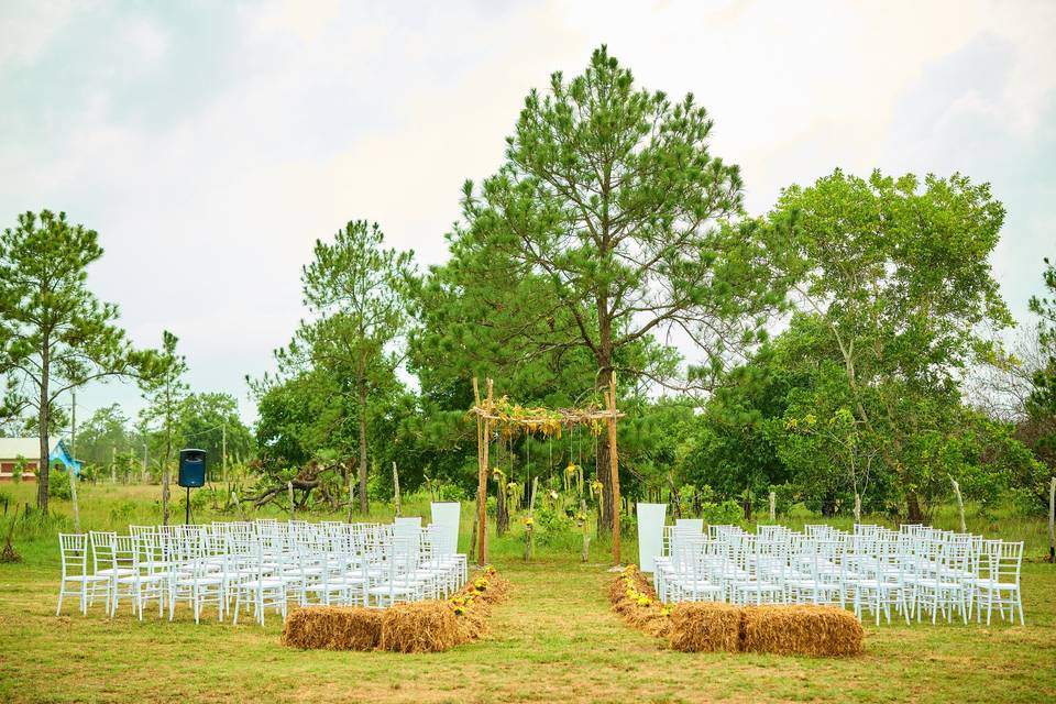 Confetti Grand Belize