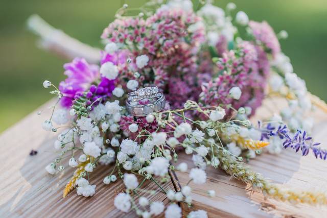 Larissa Barresi Photography