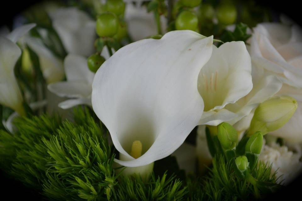 White flower