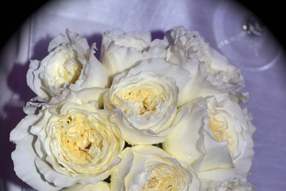Uptown Danielas Flower Shop