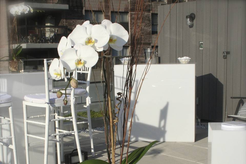 Uptown Danielas Flower Shop