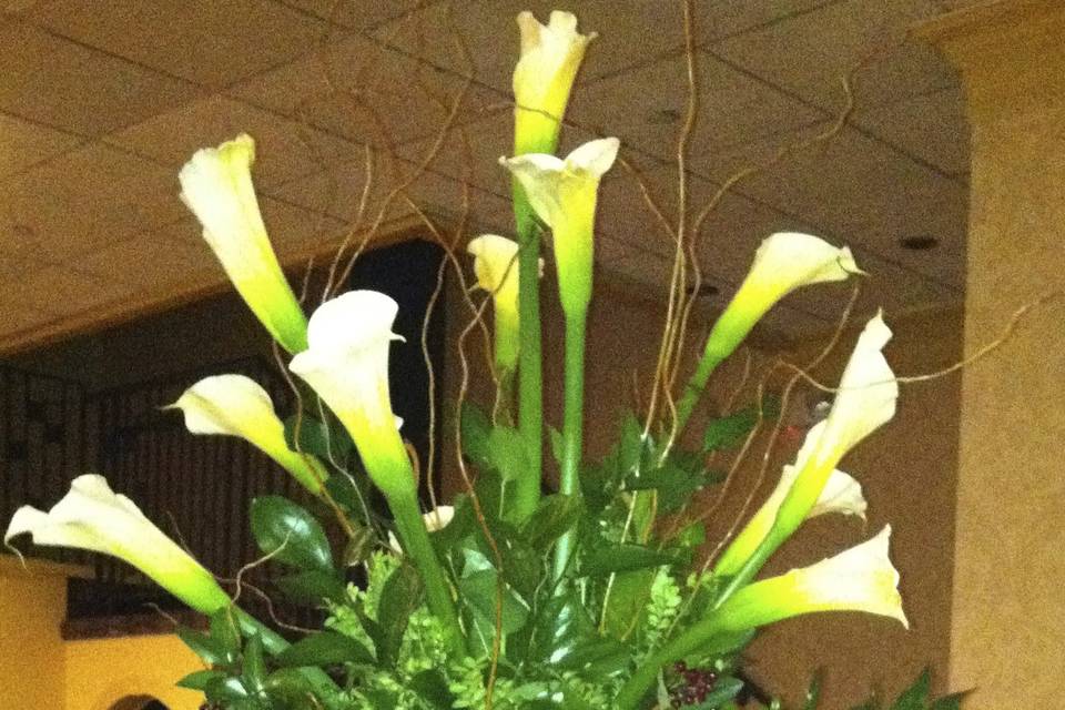 Uptown Danielas Flower Shop