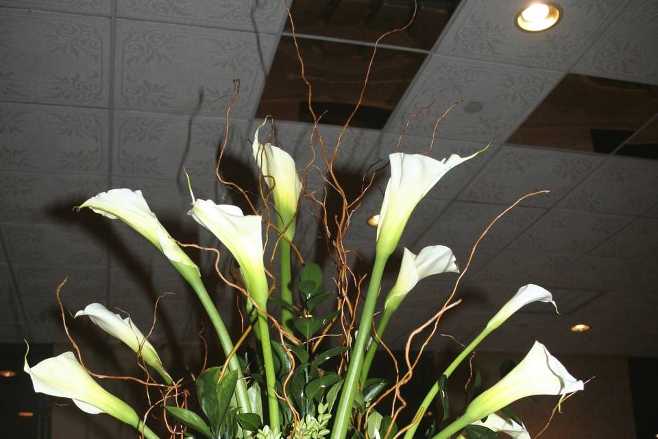 Uptown Danielas Flower Shop