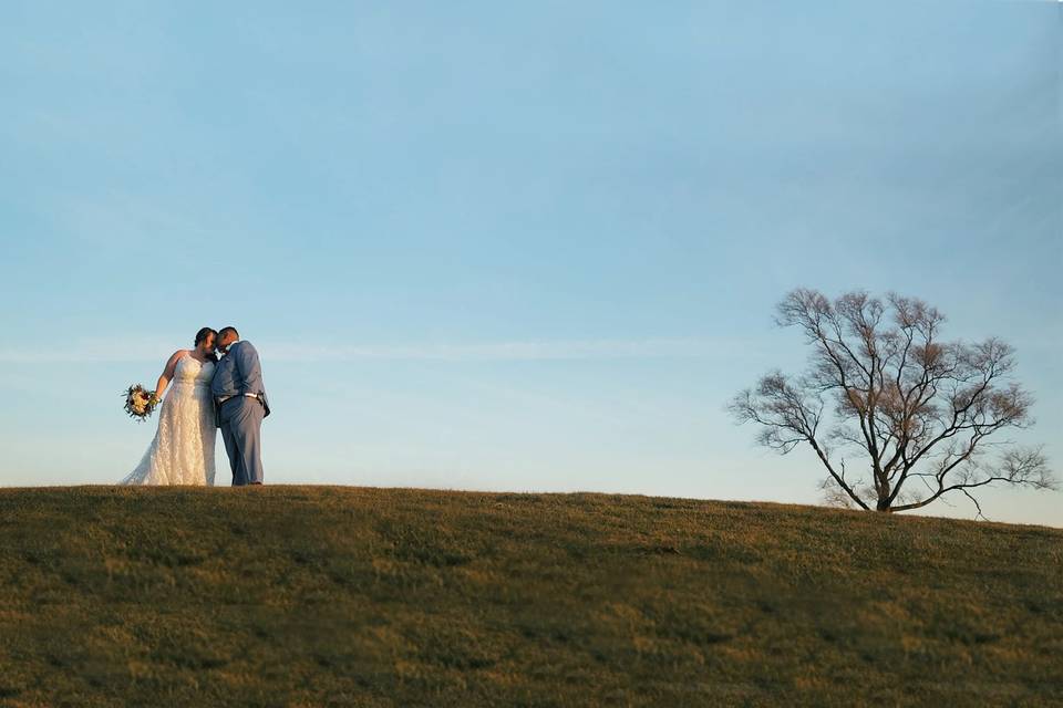Stephen Ryan Film