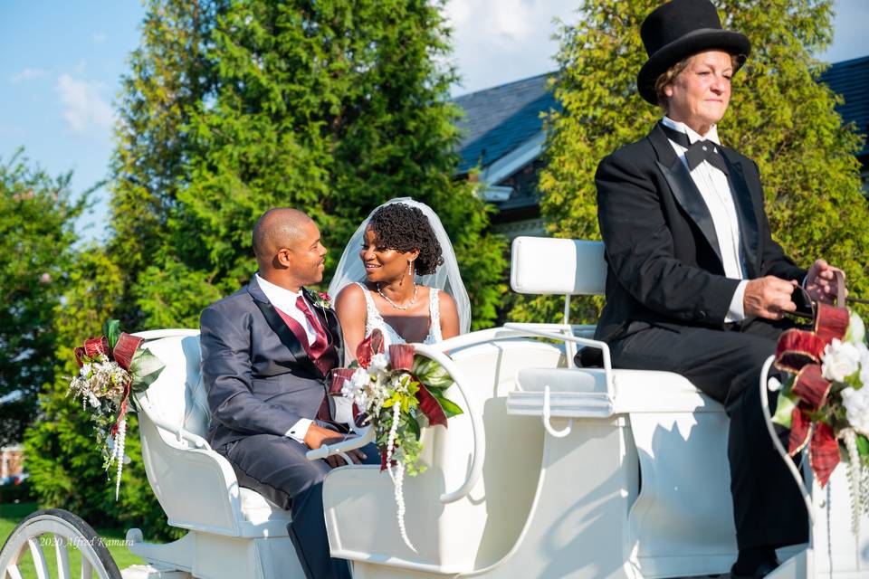 https://cdn0.weddingwire.com/vendor/510320/3_2/960/jpg/couple-carriage-ride_51_23015-163474724018522.jpeg