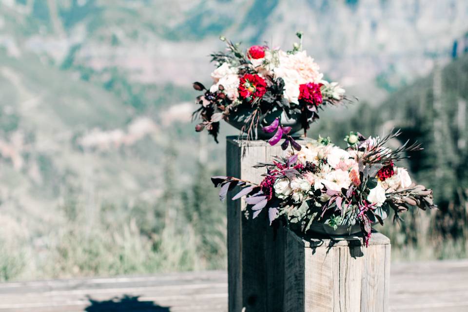 Colorful flowers