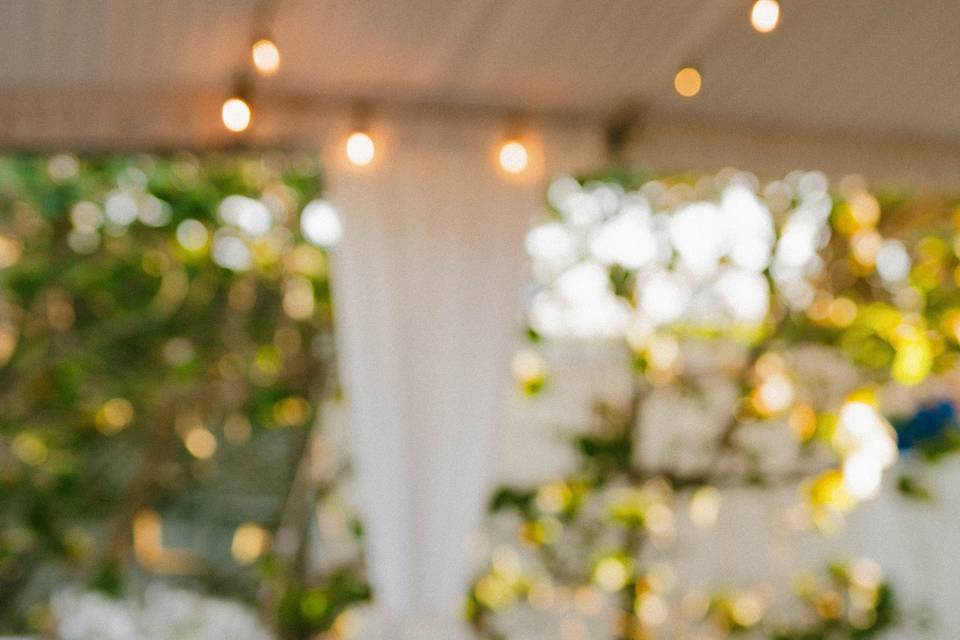 Beach Club Reception