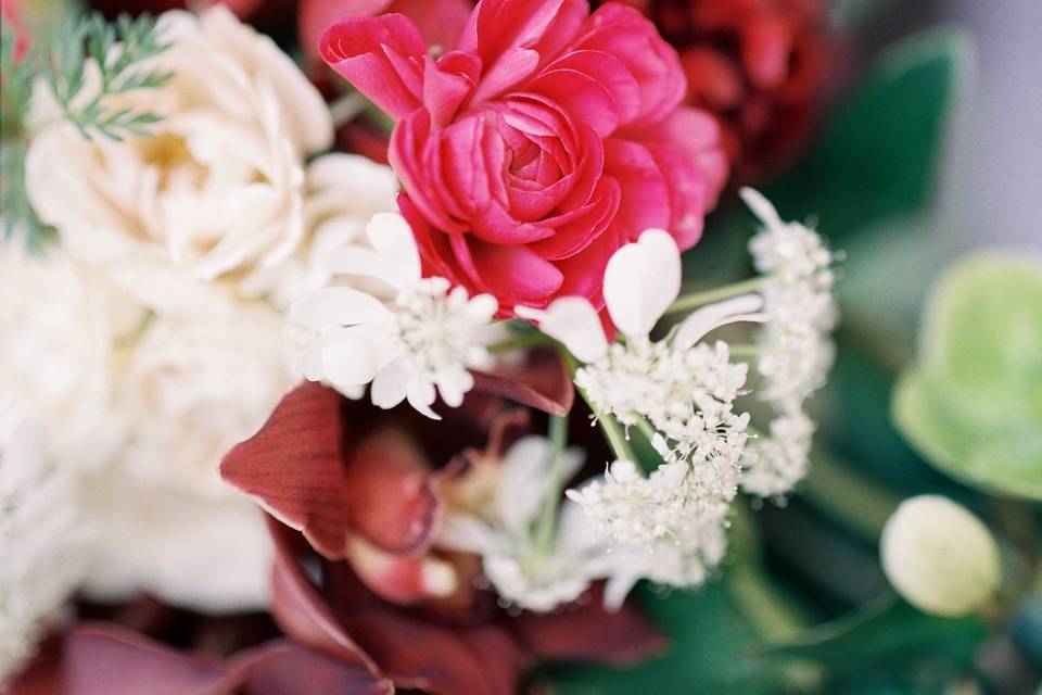 White and red arrangement