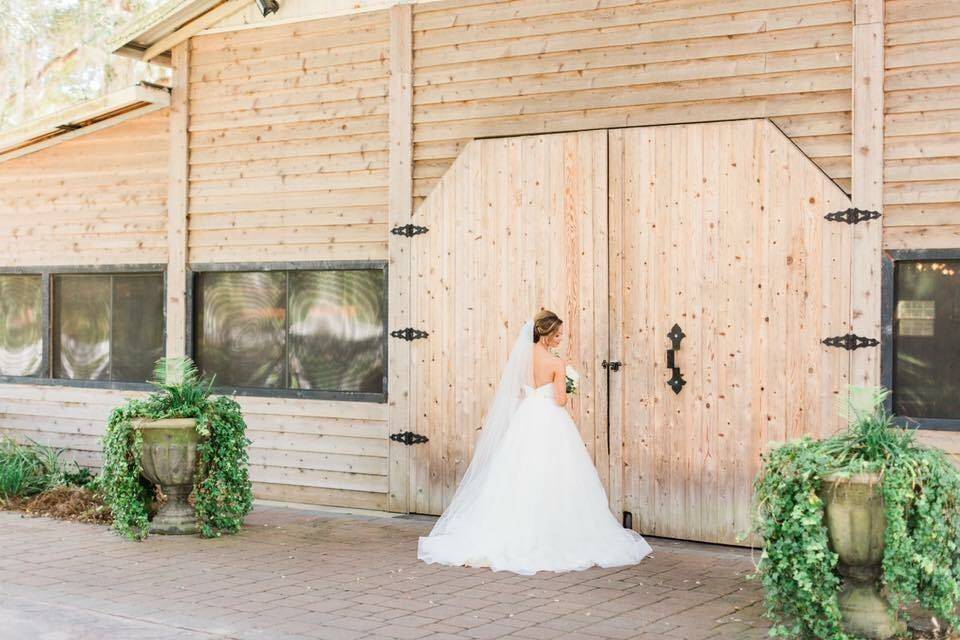 Bridal portrait