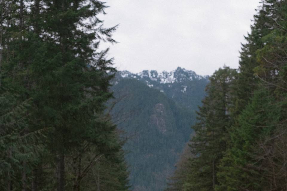 Olympic NP elopement