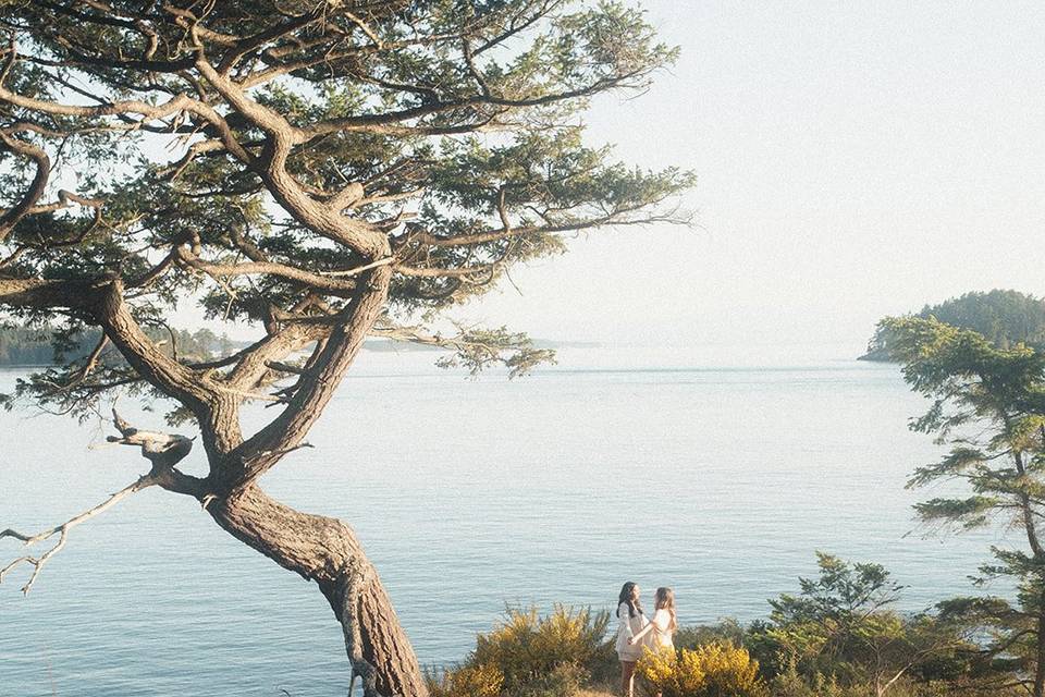 Rosario Beach engagement