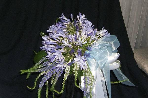 Blue's Blue's Blue's!  Splashes of blue and white agapanthus make this spring creation.