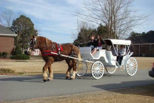 Dixie Carriages