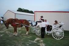 Dixie Carriages