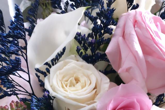 Pink, Navy blue, and cream