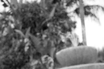 JTT Photography