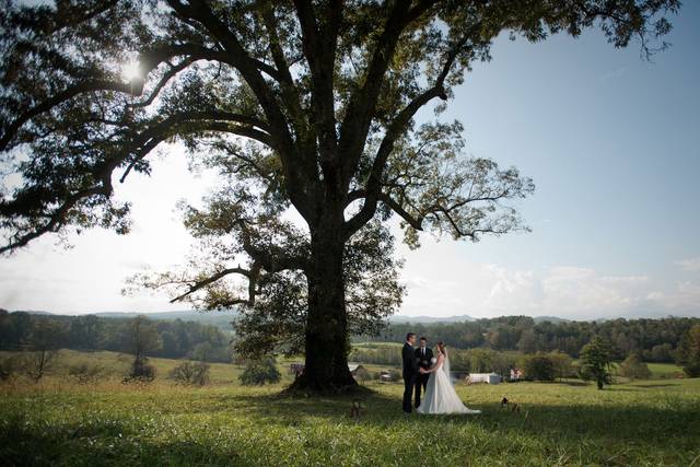 Elopement under the Oak