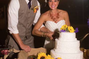 Couple cake cutting