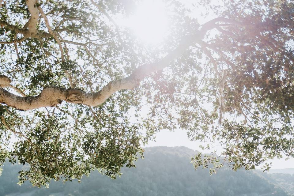 Carmel Valley Ranch