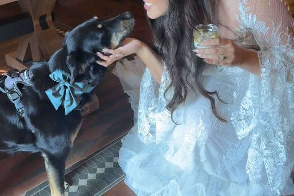 Bride & Doggy moments