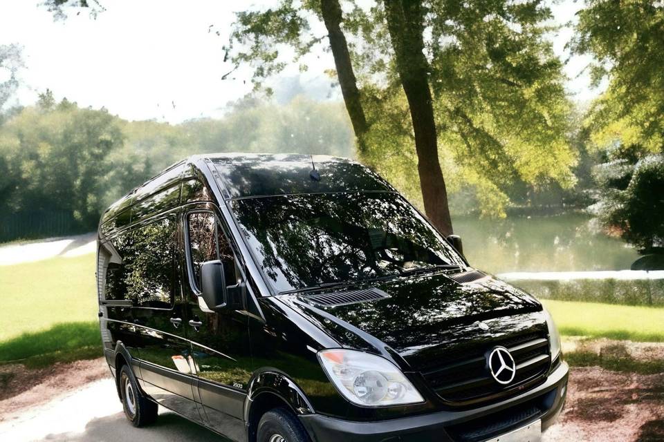 Luxury Sprinter