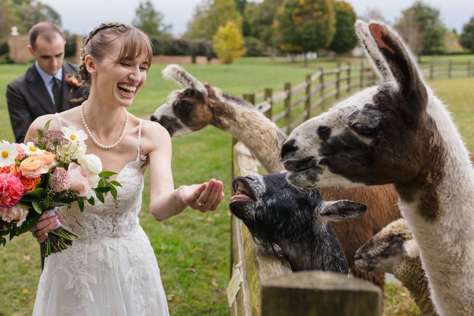 Wedding portrait
