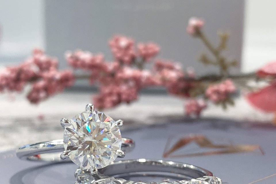 Moissanite Bridal Set