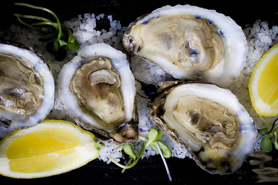 Oysters